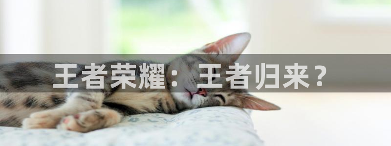 91动漫污：王者荣耀：王者归来？