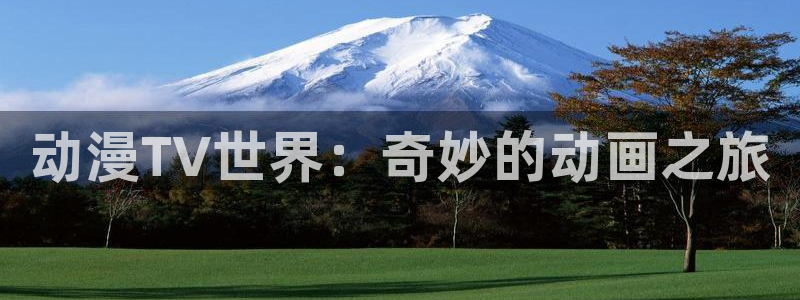 在线 精品91动漫：动漫TV世界：奇妙的动画之旅