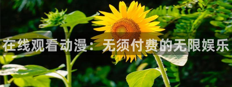 91动漫动作大片：在线观看动漫：无须付费的无限娱乐